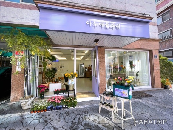 자양동 꽃집 관련 사진 - HAHATRIP 여행 가이드 자양동 꽃집 이미지 1 - HAHATRIP