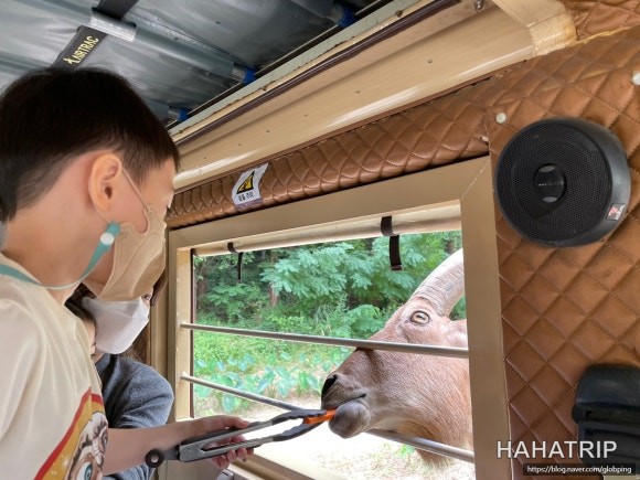 에버랜드 스페셜 투어 관련 사진 - HAHATRIP 여행 가이드 에버랜드 스페셜 투어 이미지 8 - HAHATRIP