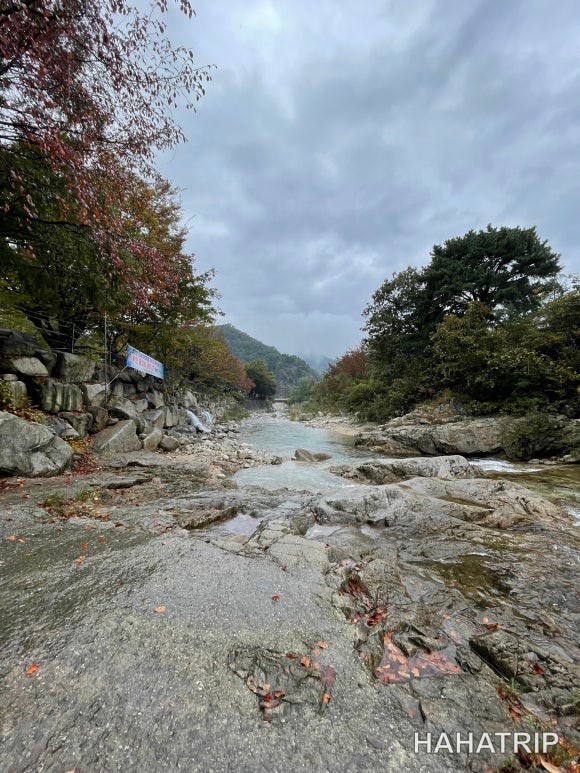 서울 근교 아이와 캠핑장 관련 사진 - HAHATRIP 여행 가이드 서울 근교 아이와 캠핑장 이미지 6 - HAHATRIP