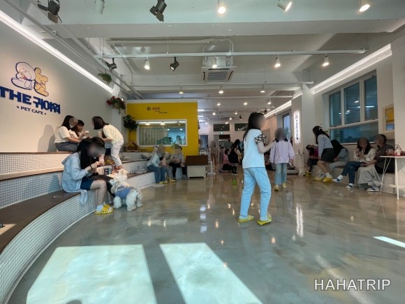 아이와 애견카페 관련 사진 - HAHATRIP 여행 가이드 아이와 애견카페 이미지 12 - HAHATRIP