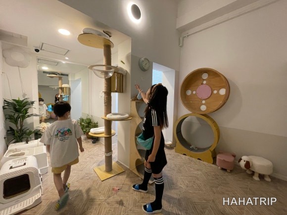 아이와 애견카페 관련 사진 - HAHATRIP 여행 가이드 아이와 애견카페 이미지 13 - HAHATRIP