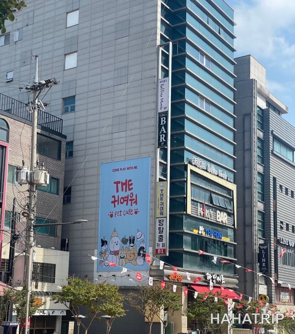 아이와 애견카페 관련 사진 - HAHATRIP 여행 가이드 아이와 애견카페 이미지 1 - HAHATRIP