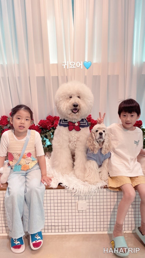 아이와 애견카페 관련 사진 - HAHATRIP 여행 가이드 아이와 애견카페 이미지 21 - HAHATRIP