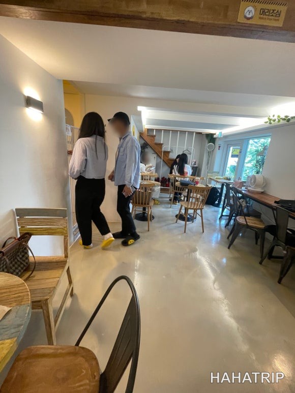 아이와 애견카페 관련 사진 - HAHATRIP 여행 가이드 아이와 애견카페 이미지 22 - HAHATRIP