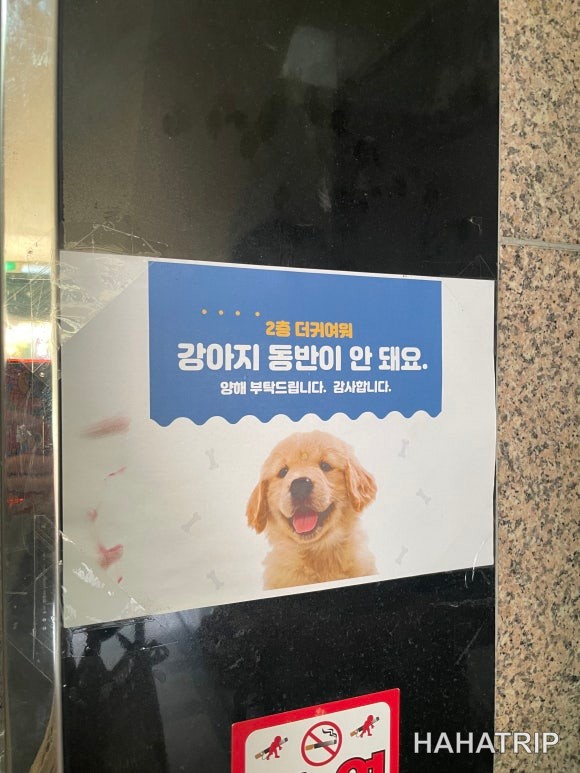 아이와 애견카페 관련 사진 - HAHATRIP 여행 가이드 아이와 애견카페 이미지 5 - HAHATRIP