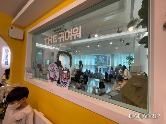 아이와 애견카페 관련 사진 - HAHATRIP 여행 가이드 아이와 애견카페 이미지 6 - HAHATRIP