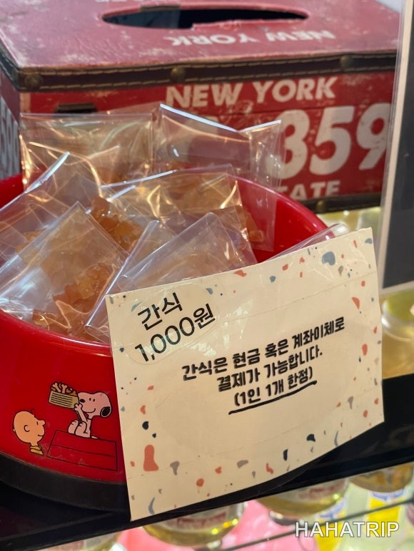 아이와 애견카페 관련 사진 - HAHATRIP 여행 가이드 아이와 애견카페 이미지 8 - HAHATRIP