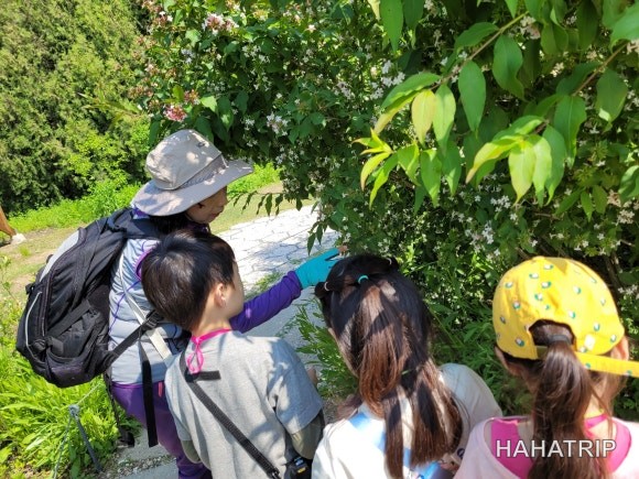 서울숲 숲체험 관련 사진 - HAHATRIP 여행 가이드 서울숲 숲체험 이미지 10 - HAHATRIP