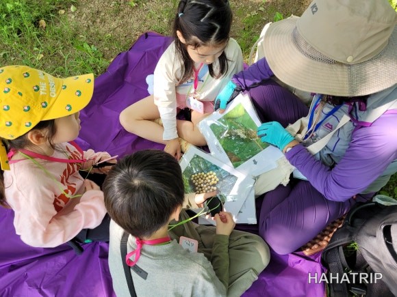 서울숲 숲체험 관련 사진 - HAHATRIP 여행 가이드 서울숲 숲체험 이미지 12 - HAHATRIP