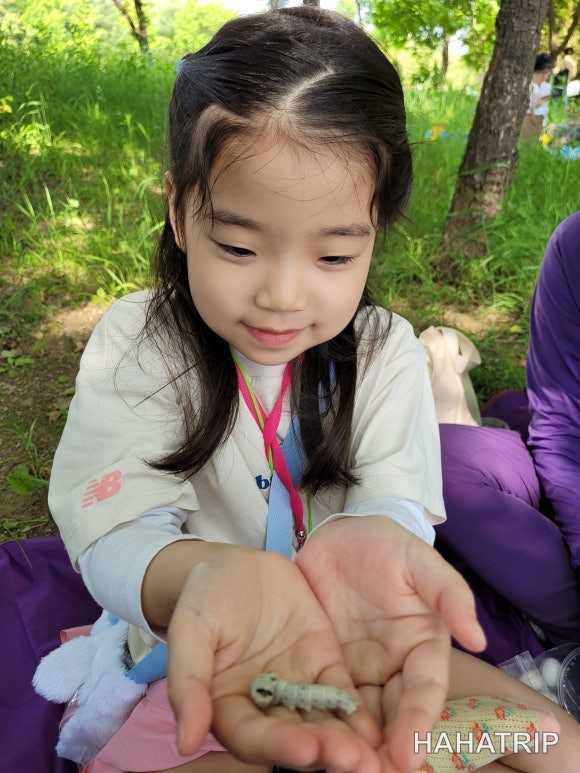 서울숲 숲체험 관련 사진 - HAHATRIP 여행 가이드 서울숲 숲체험 이미지 13 - HAHATRIP