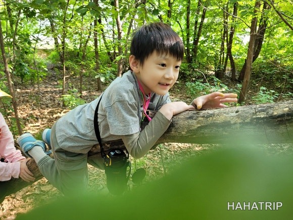 서울숲 숲체험 관련 사진 - HAHATRIP 여행 가이드 서울숲 숲체험 이미지 21 - HAHATRIP