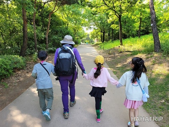 서울숲 숲체험 관련 사진 - HAHATRIP 여행 가이드 서울숲 숲체험 이미지 6 - HAHATRIP