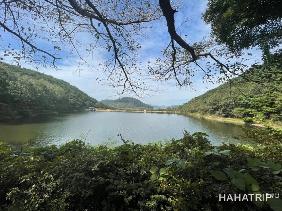 김포 캠핑장 관련 사진 - HAHATRIP 여행 가이드 김포 캠핑장 이미지 15 - HAHATRIP